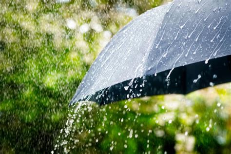 下大雨圖片|109,200+ 項傾盆大雨照片檔、圖片和免版稅影像